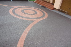 Rogozino 2