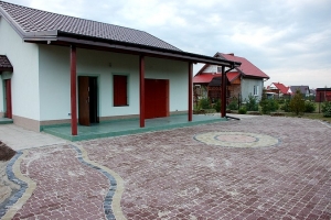 Dąb Polski